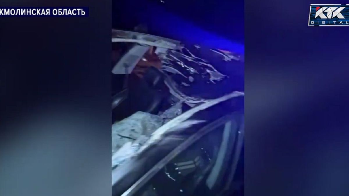 Автомобиль врезался в лошадь в Акмолинской области: три человека получил серьезные травмы