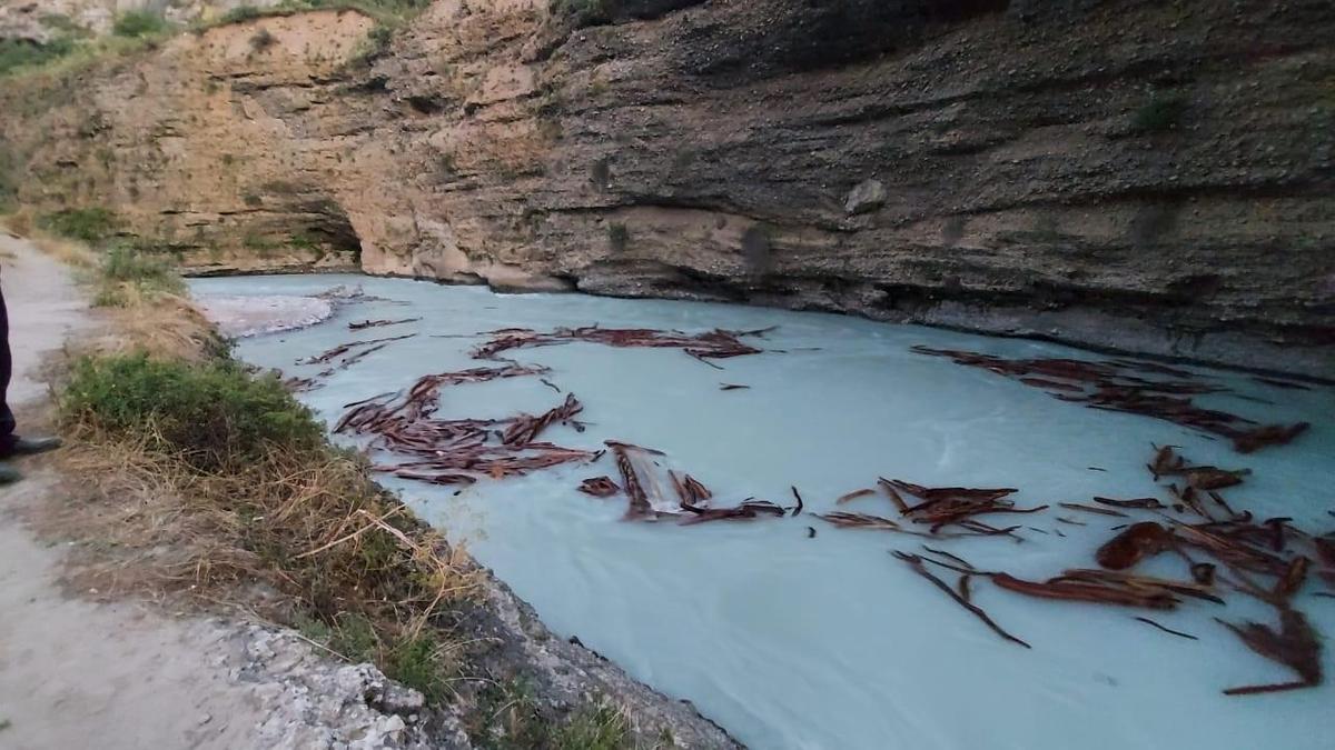 Водоем в Туркестанской области