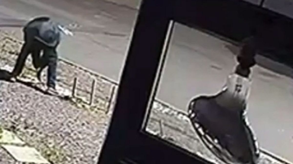 Мужчина вырывает деревья в Караганде