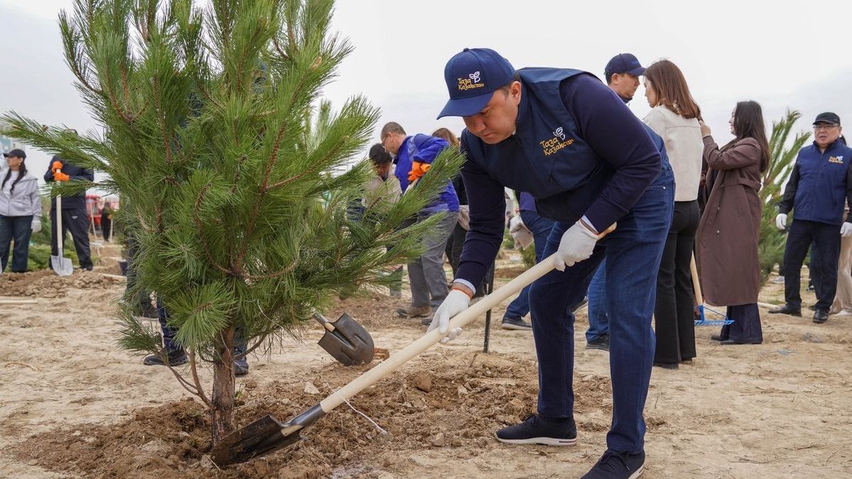 в Туркестане высадили более 2 тысяч деревьев