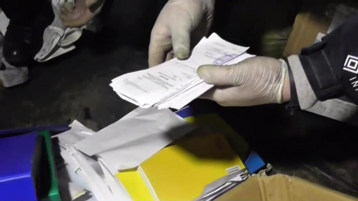 тінту шаралары тінту шаралары