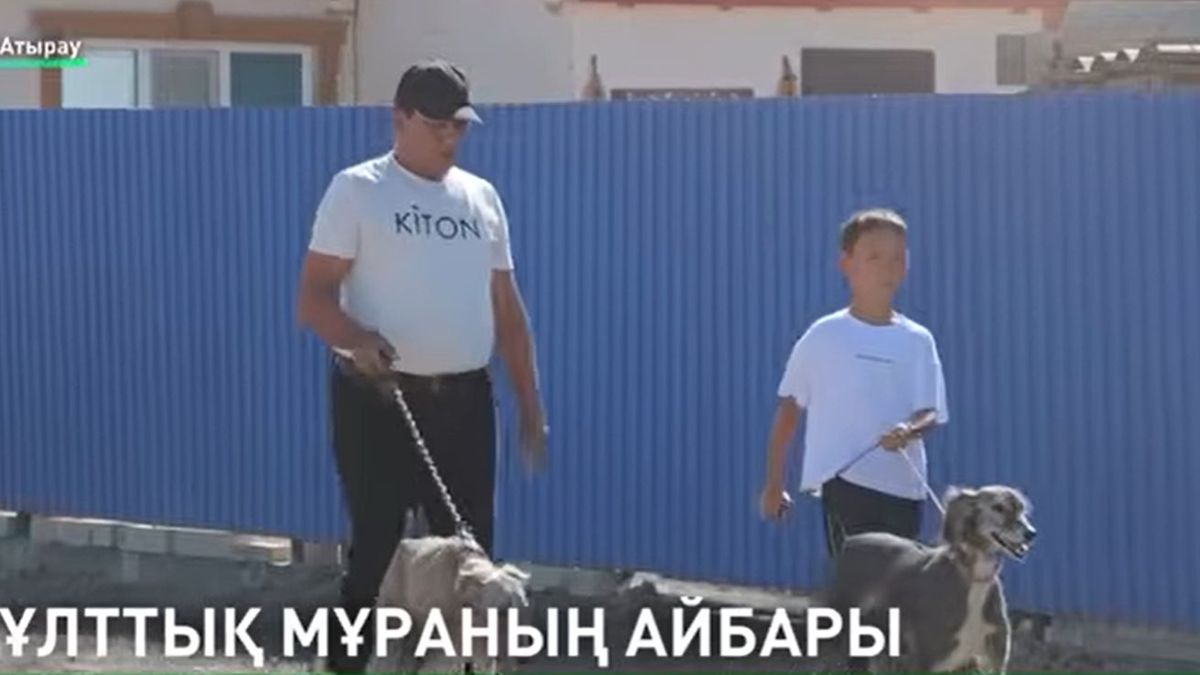 Тазы асырайтын бала