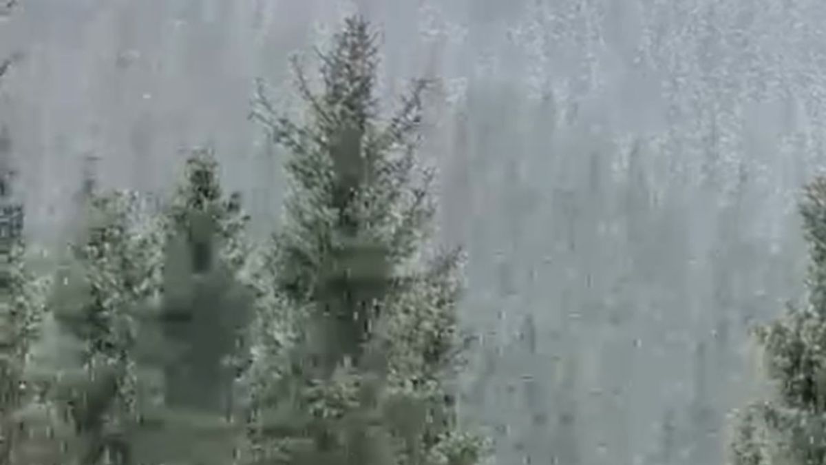 Алматы облысындағы Ақкөл жайлауы
