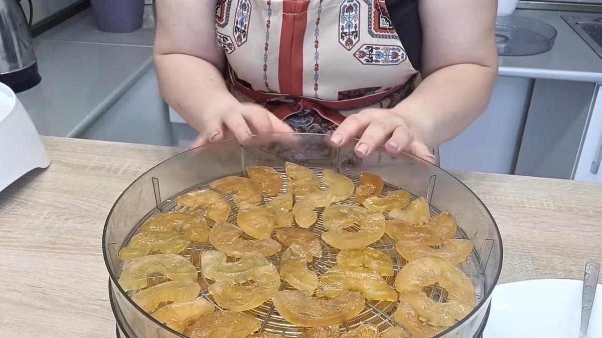 Сушка цукатов в дегидраторе