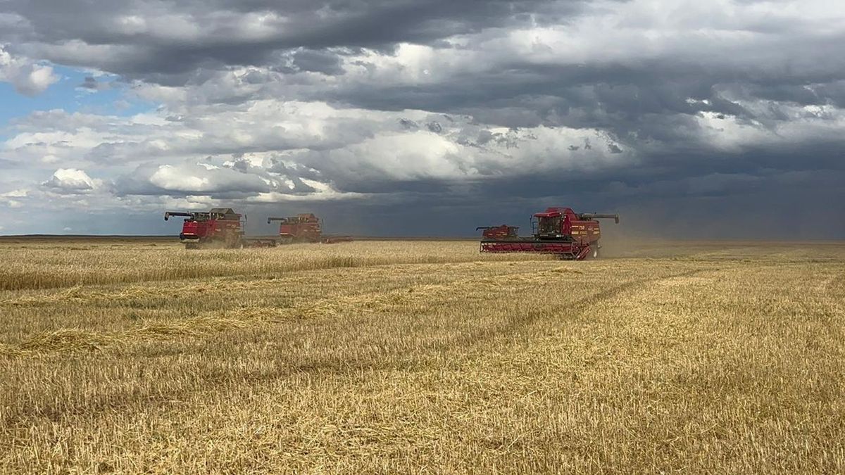 Комбайны на поле