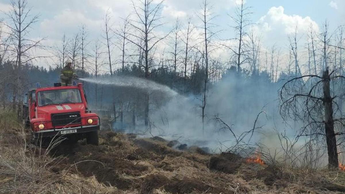 Абай облысындағы орман өрті