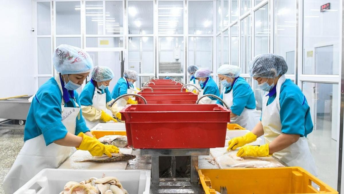 Сыр елінде өндірілетін өнімдер шетелдің 10 мемлекетіне экспортталды Сыр елінде өндірілетін өнімдер шетелдің 10 мемлекетіне экспортталды