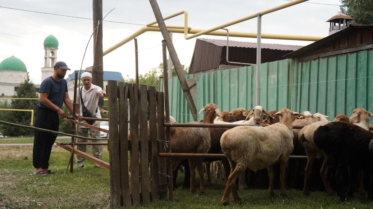 Курбан айт в Алматы Курбан айт в Алматы
