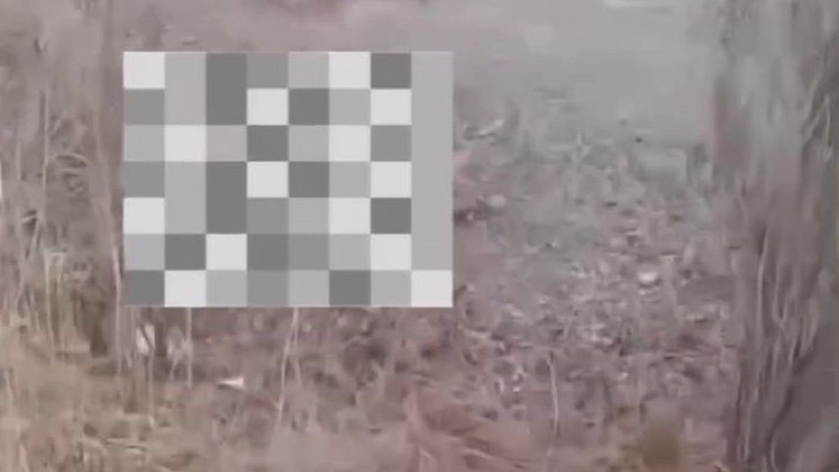 Лошади в Алматинской области