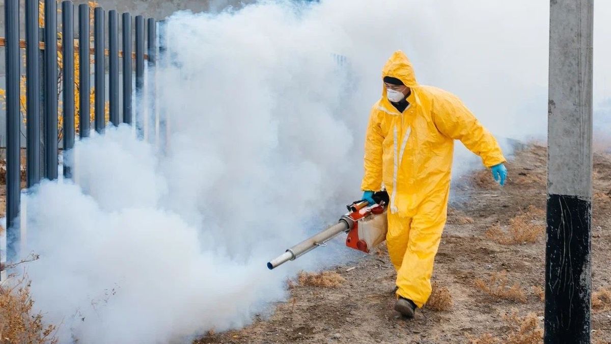 Дератизация