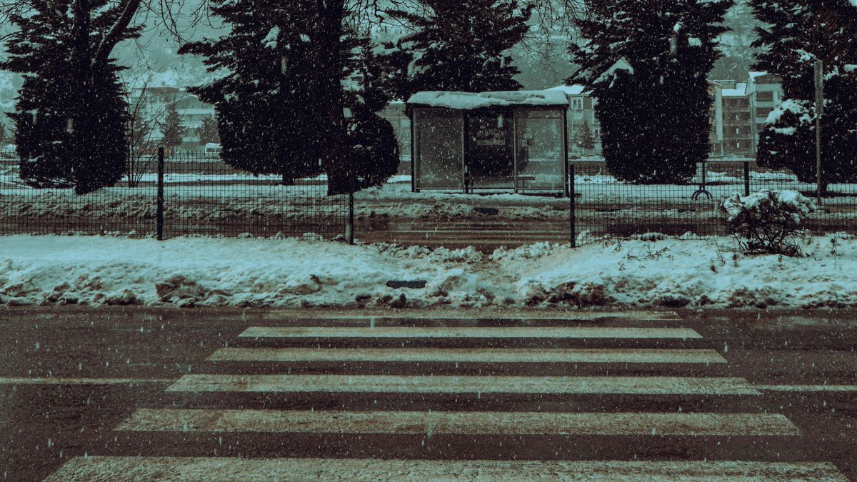 жаяу жүргінші жолағы