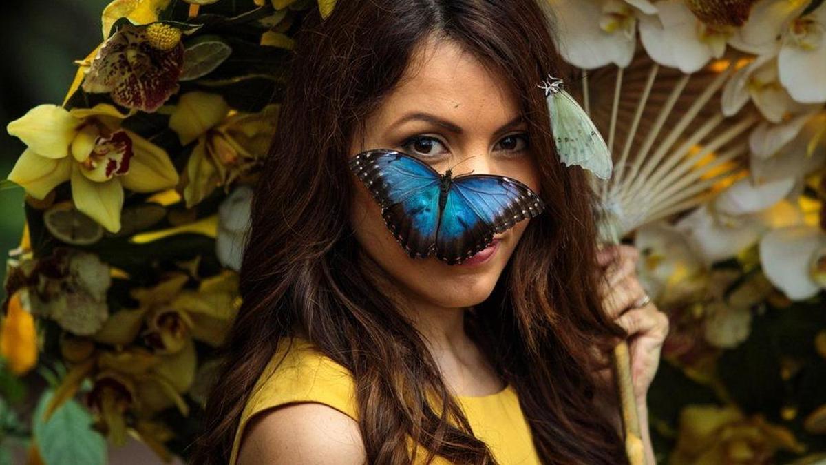 Free-flying exotic butterflies show opens in the UK - CGTN