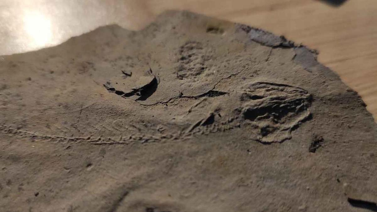 Скелет Utegenia shpinari