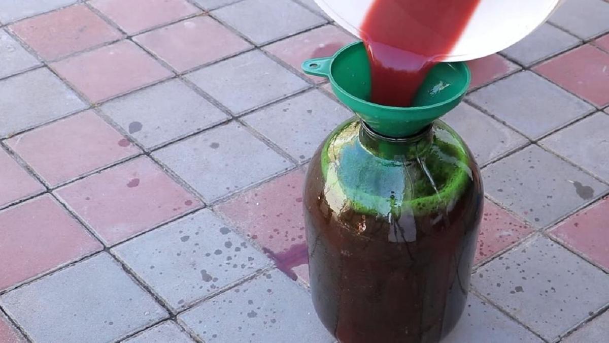 Вино переливается в банку