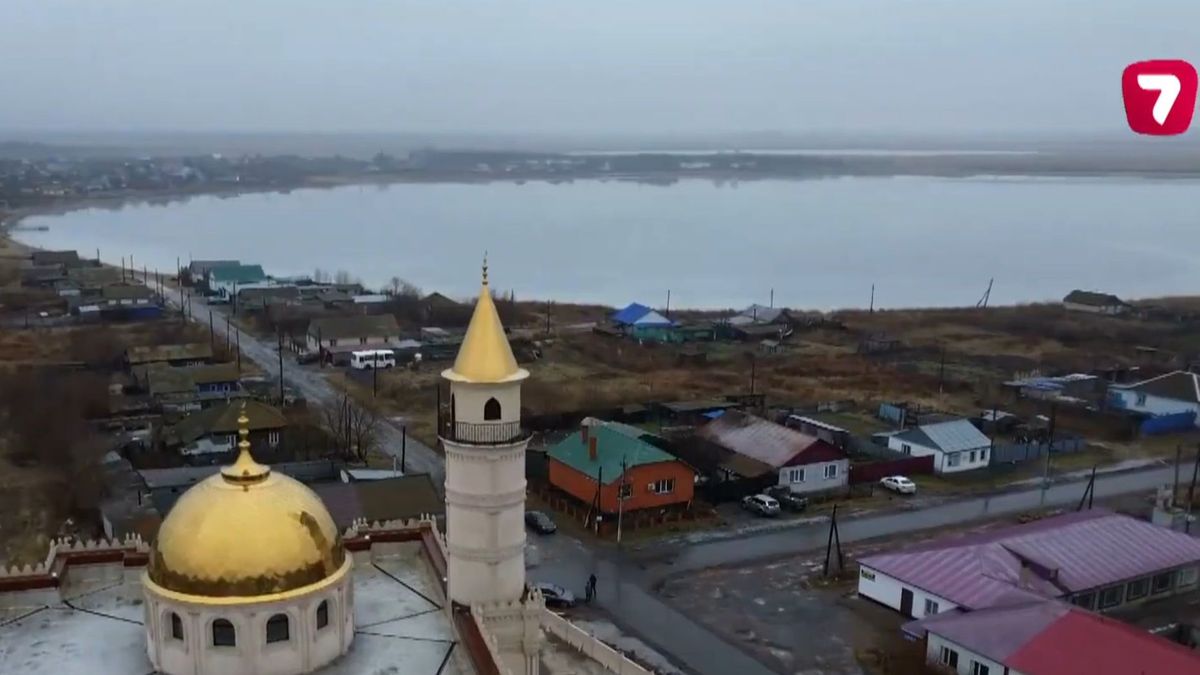 Город Мамлютка