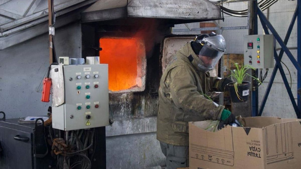Сожжение декоративных растений