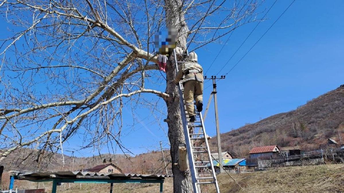 Спасатель снимает девочку с дерева