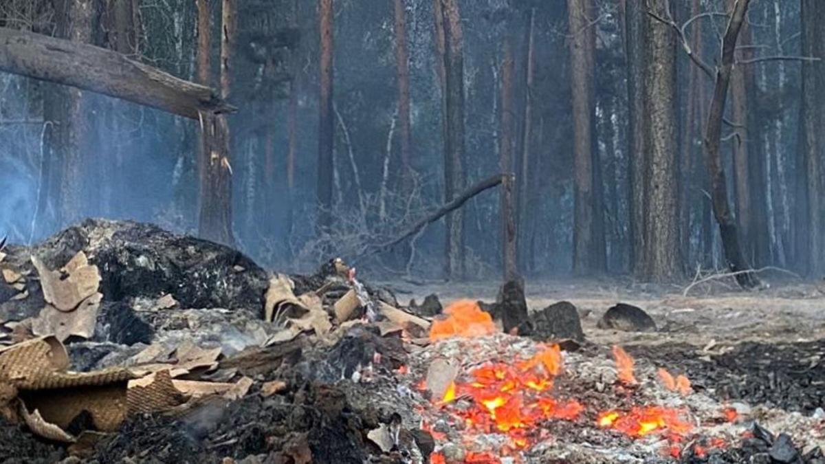 Пожары в Костанайской области