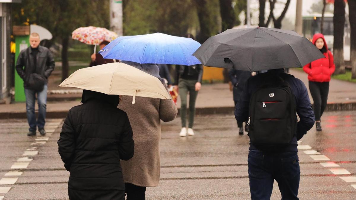 Люди с зонтиками переходят дорогу