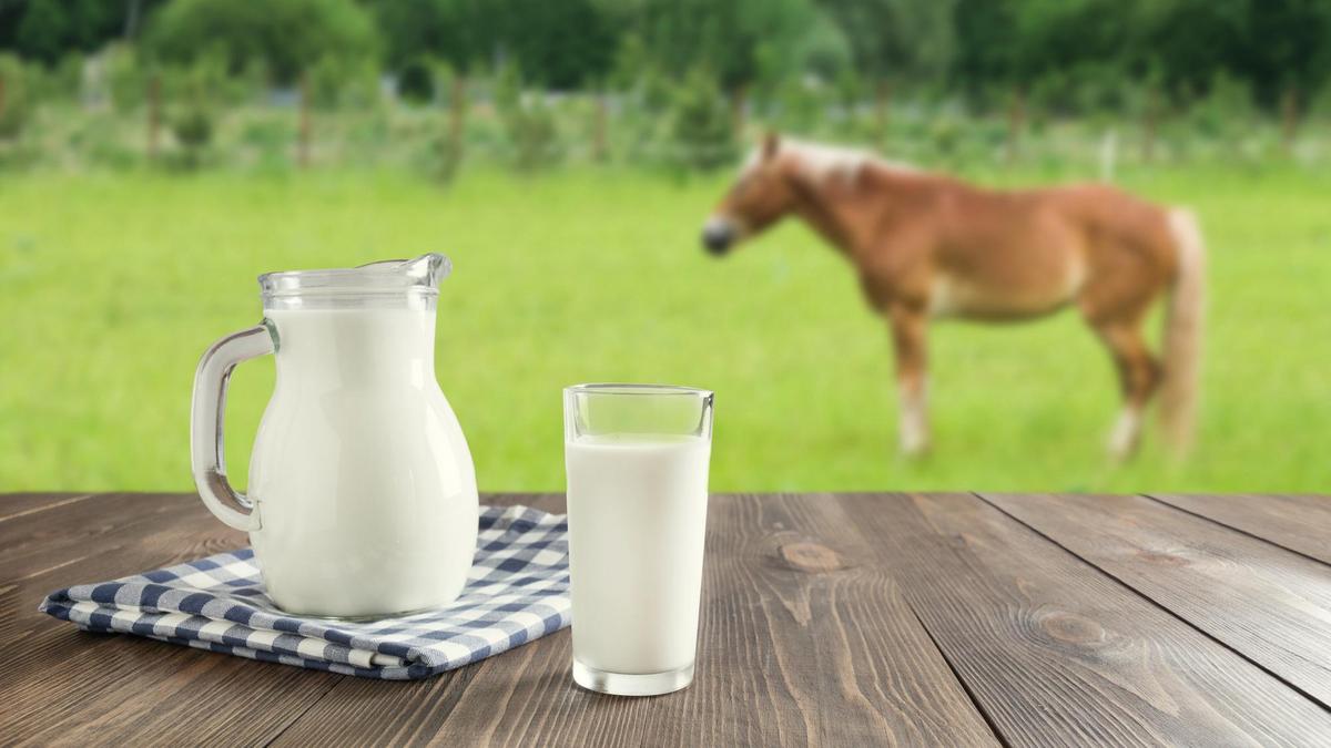 Кобылье молоко