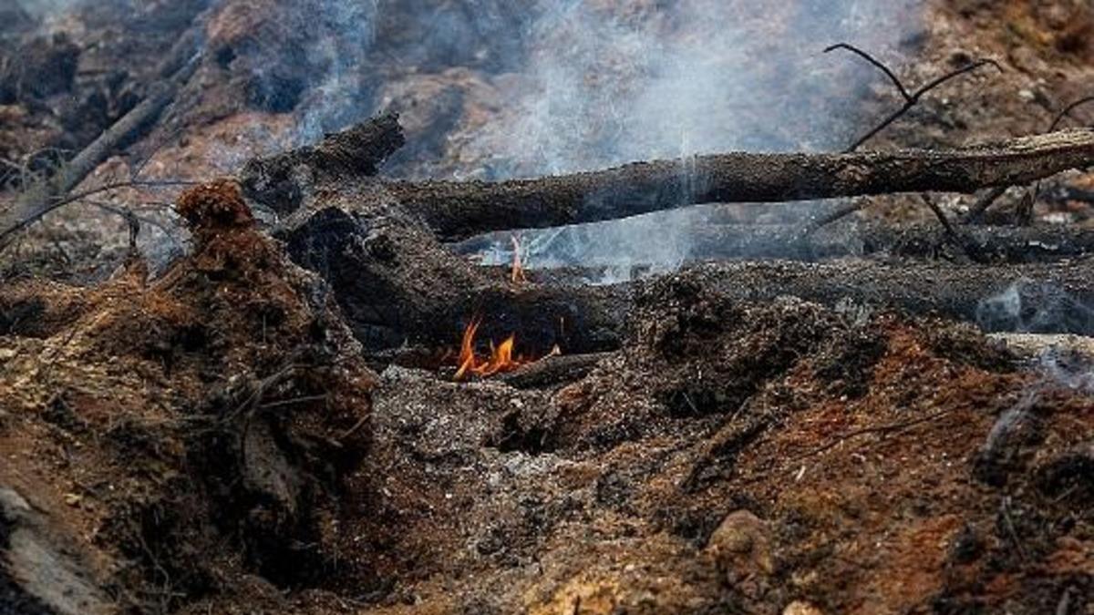 Микробиологическое самовозгорание. Почвенно торфяные пожары. Подземный торфяной пожар. Торфяной пожар пожар. Подземные почвенные пожары.