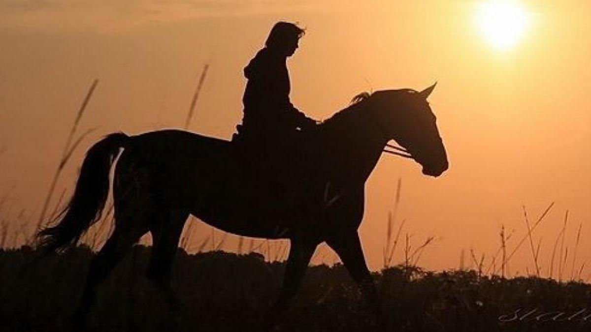 Песня конь версия коня. Наездник в поле.