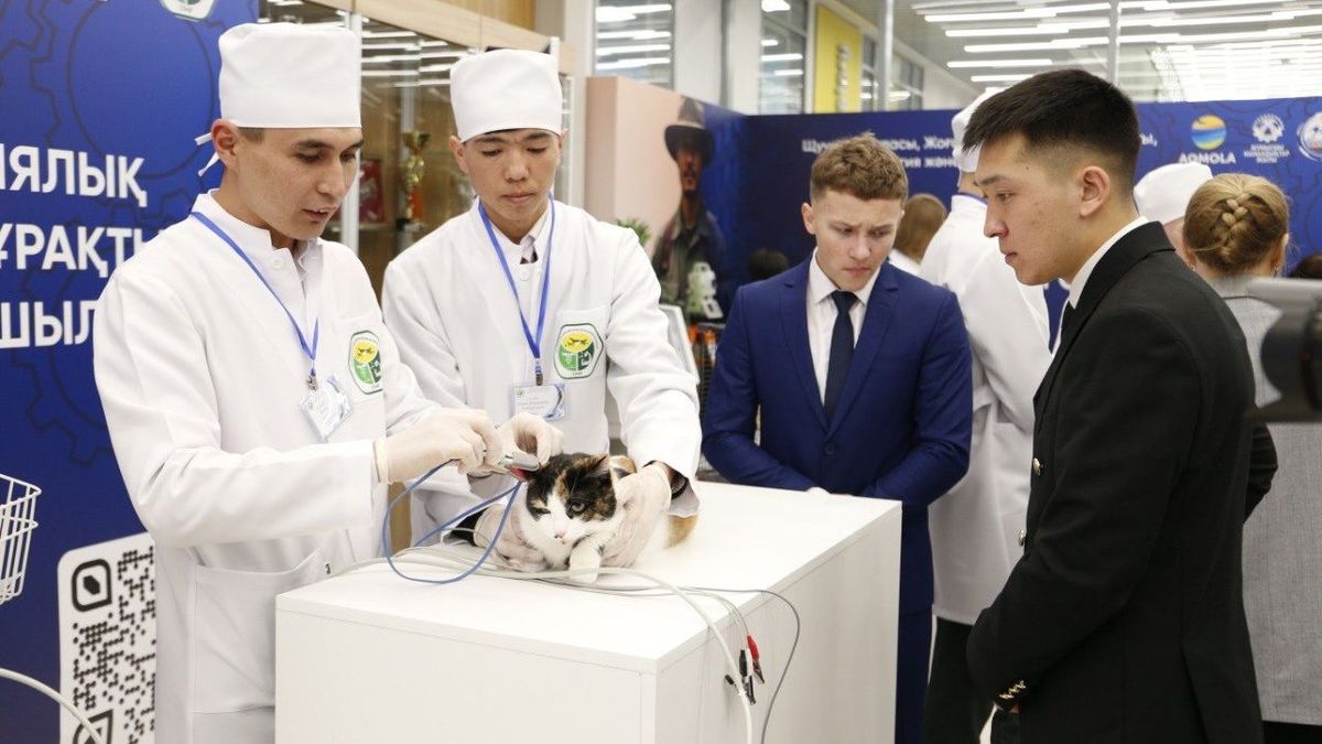 Обучение студентов