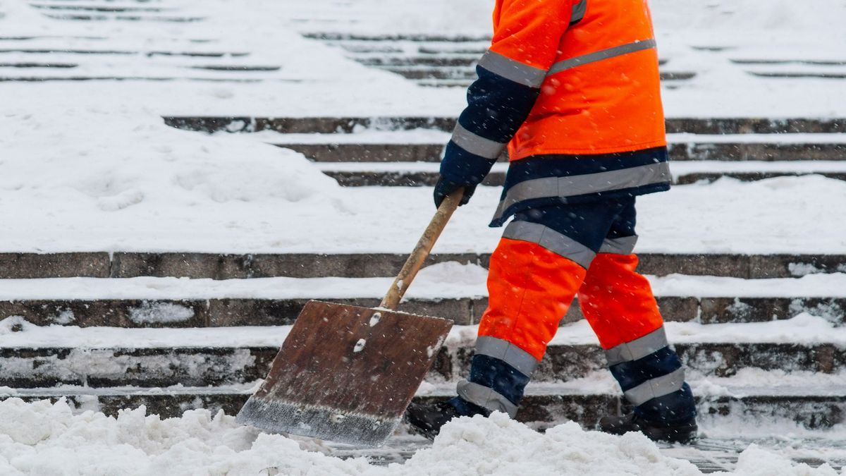 Общественные работы