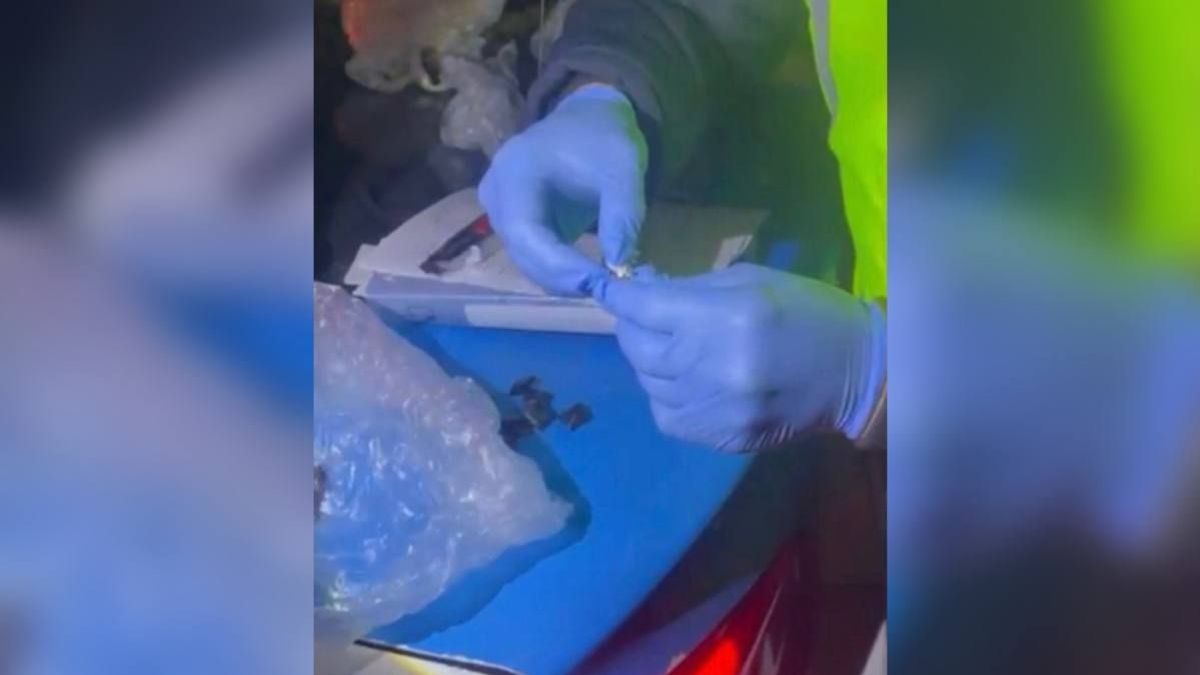 Задержание подозреваемых