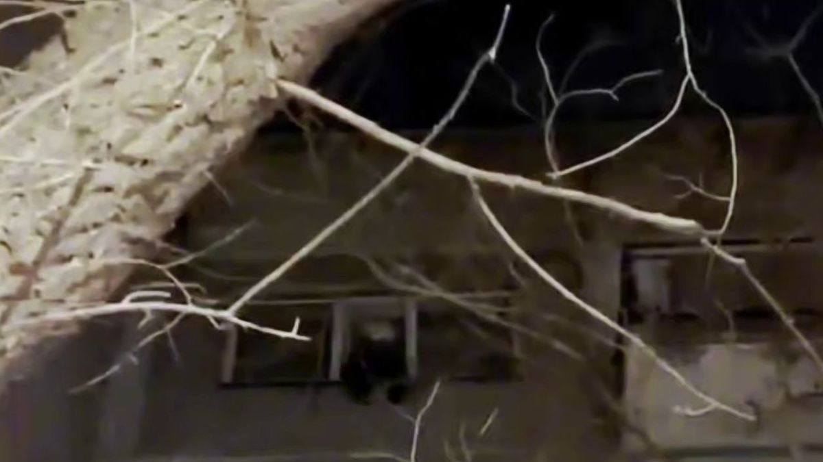 Девочка на подоконнике