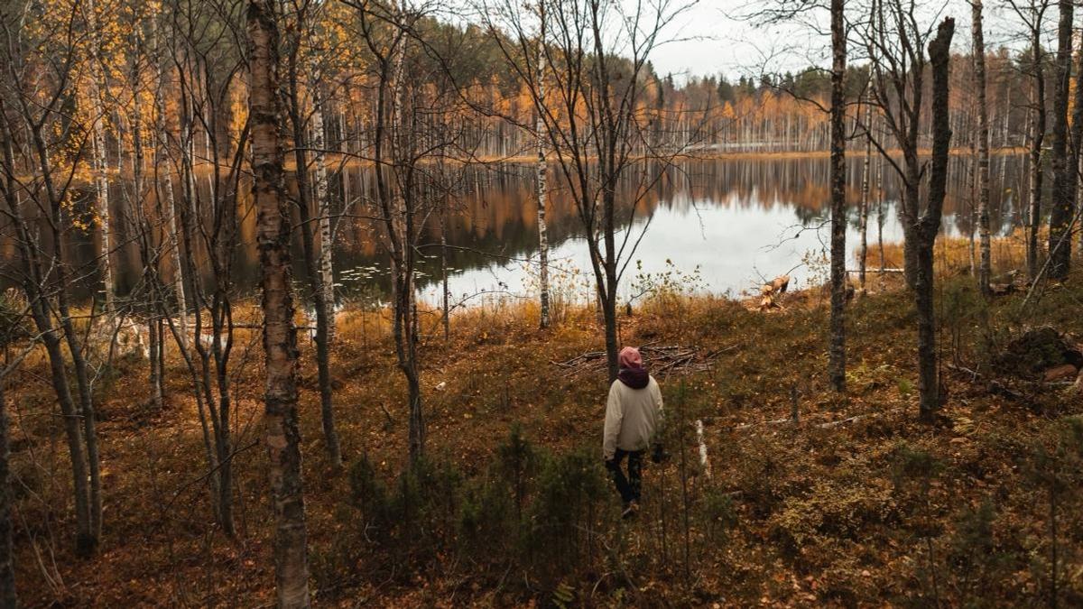 БҚО-да орманнан 2 ай бұрын жоғалған әйелдің бас сүйегі мен қаңқа