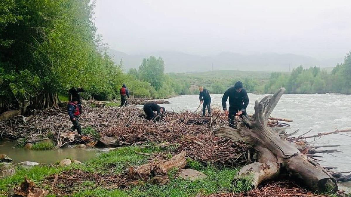 Поиски мужчины Поиски мужчины