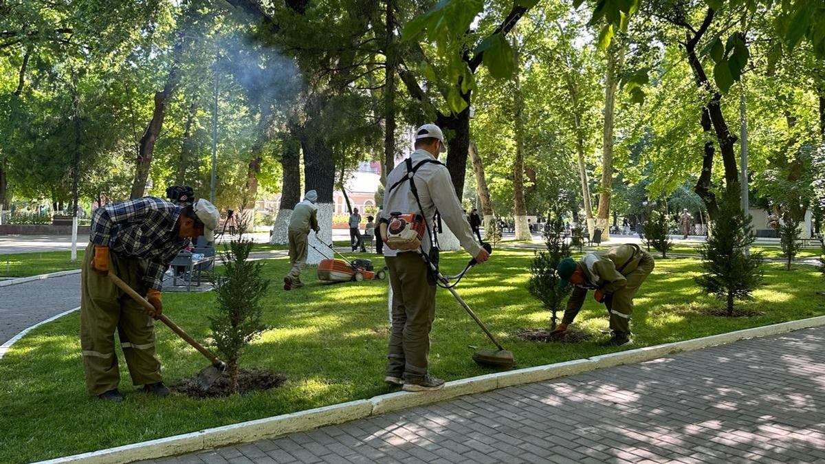Посадка деревьев