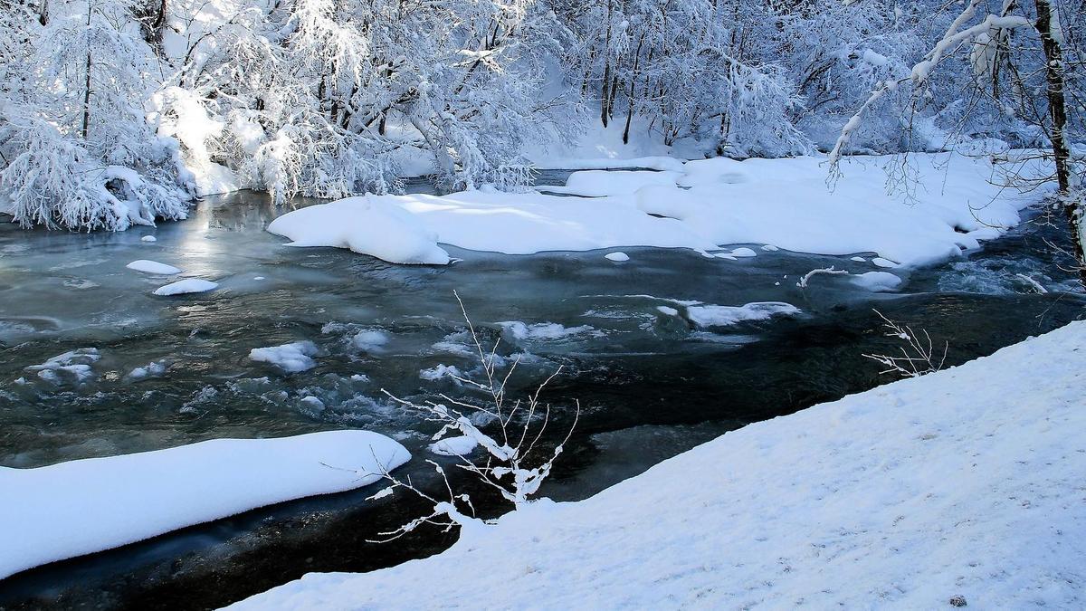 Река течет в лесу