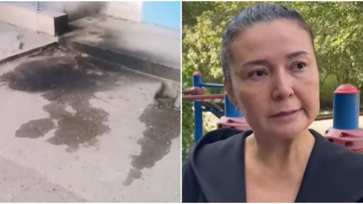 Место происшествия и Мухаббат Пардаева