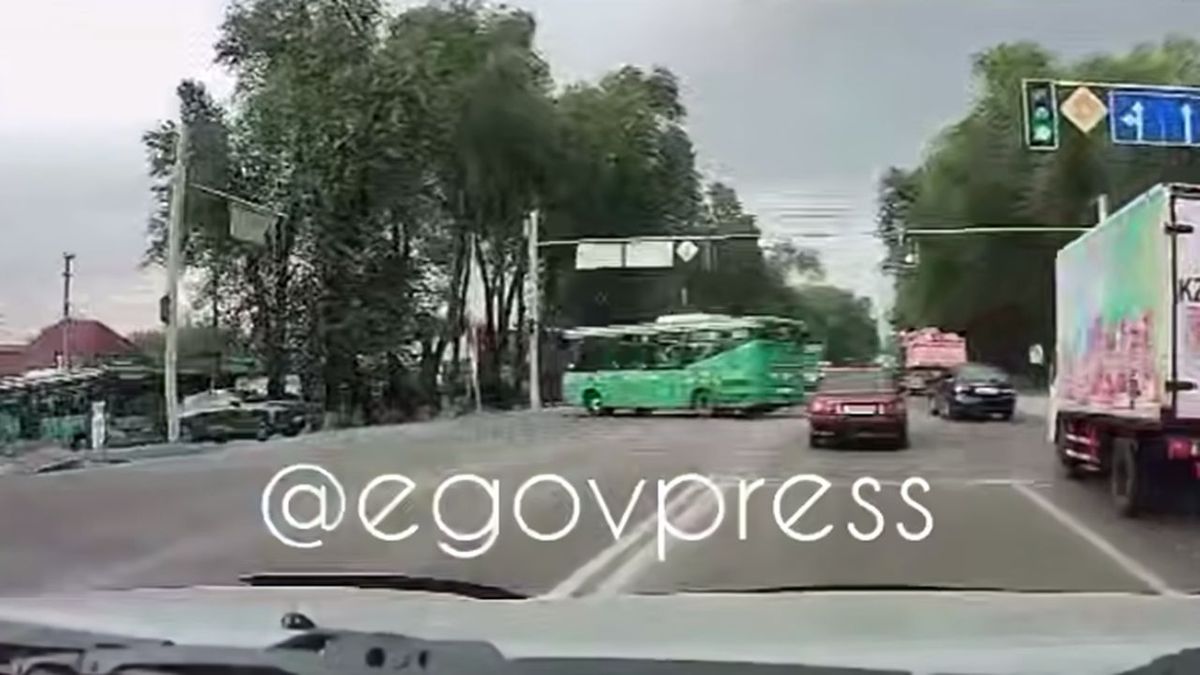 Алматы облысындағы жол апаты