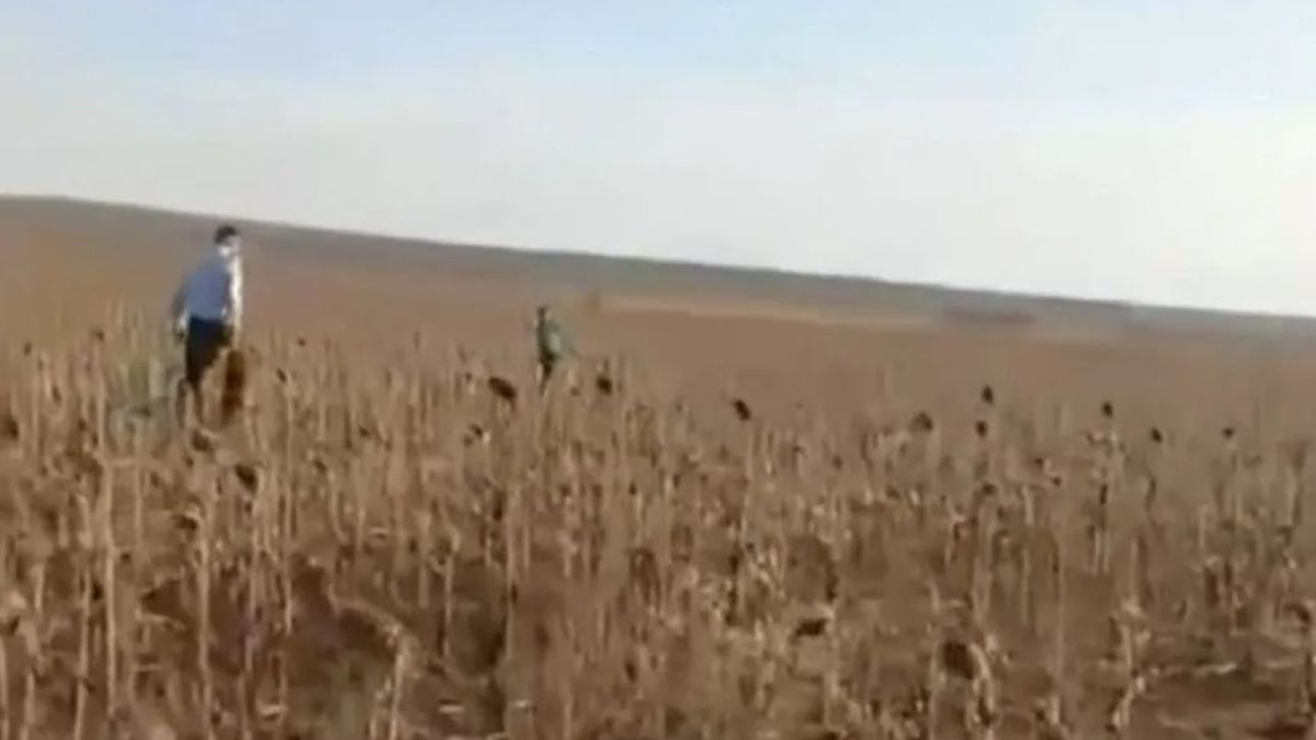 Абай облысында бала егістіктен табылды