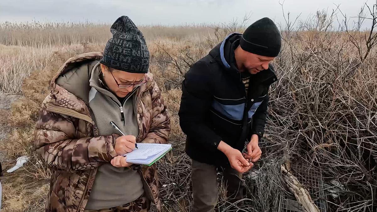 Центрально-Азиатская программа WWF