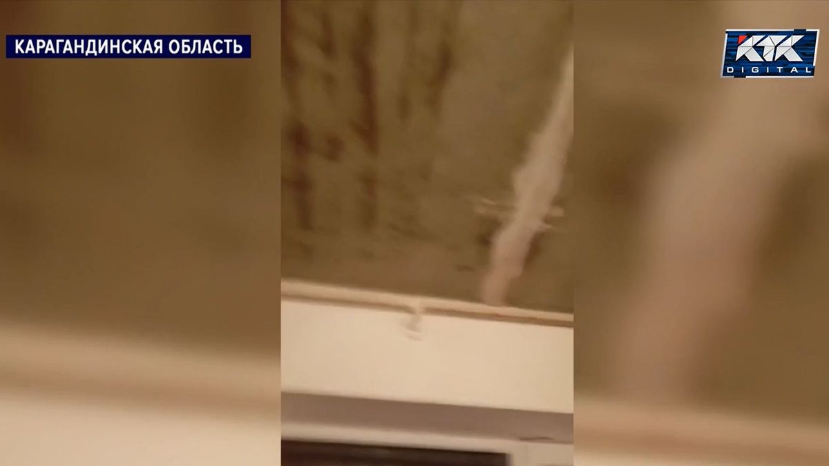 Плесень в доме в Карагандинской области