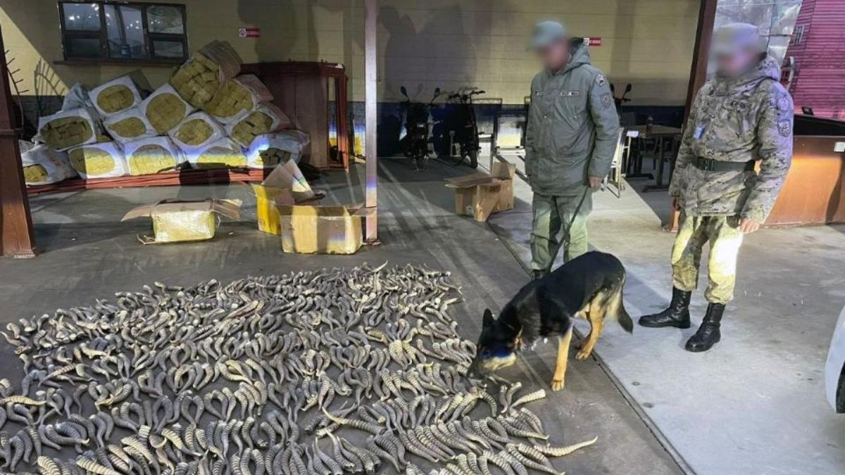 ҰҚК заңсыз тасымалдаудың жолын кесті ҰҚК заңсыз тасымалдаудың жолын кесті