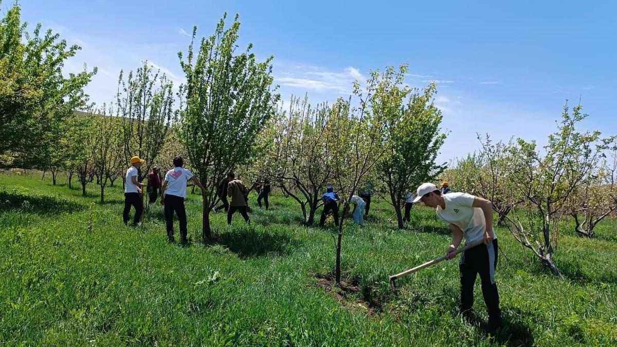 "Өнегелі ұрпақ" акциясы