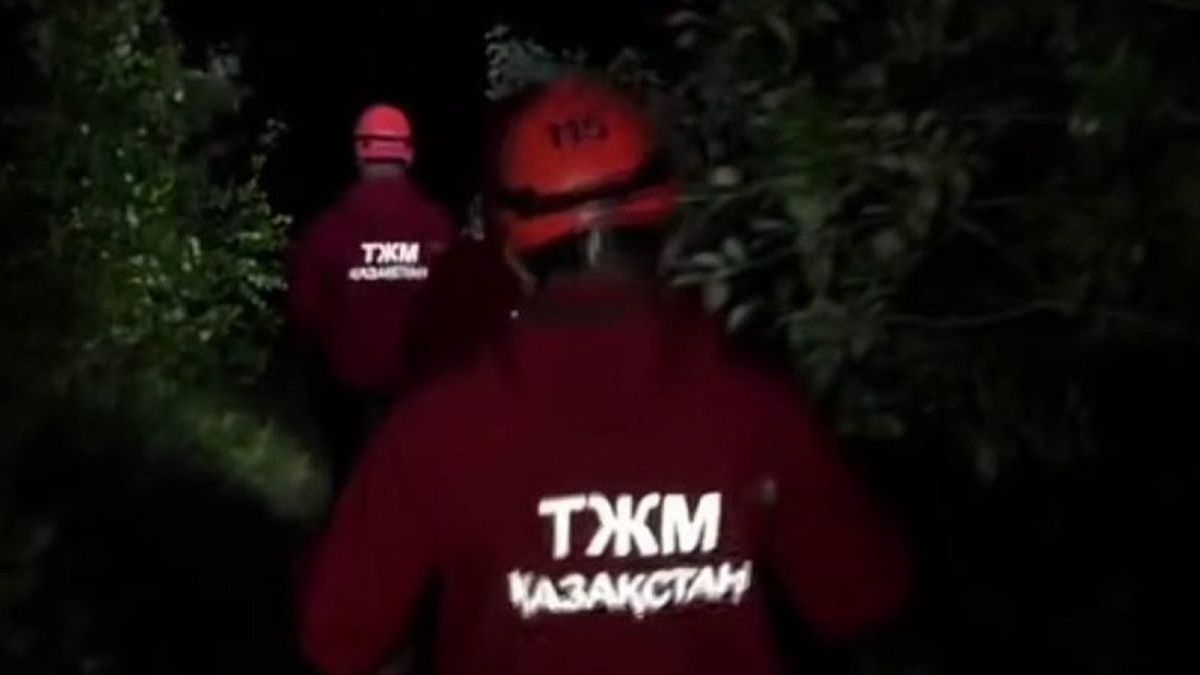 студентті іздеу жұмыстары