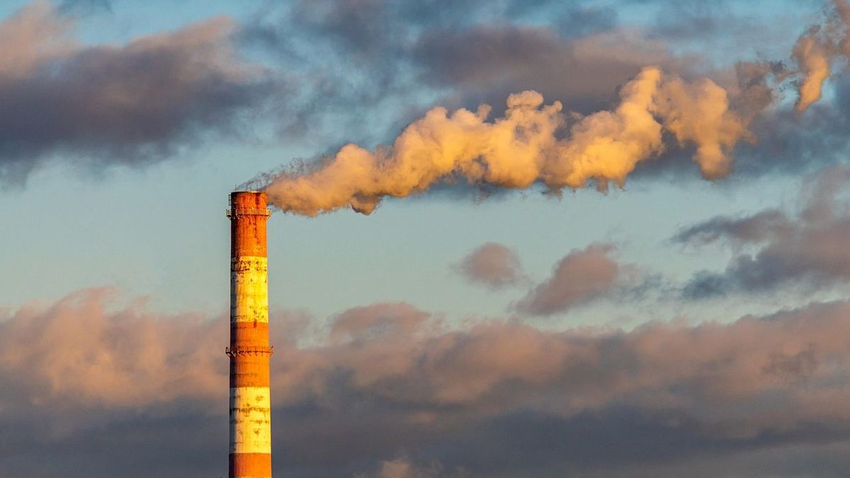 Дым от завода