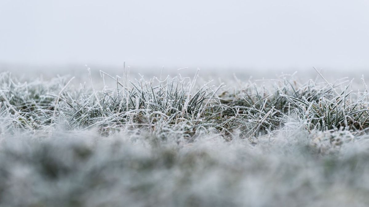 үскірік аяз