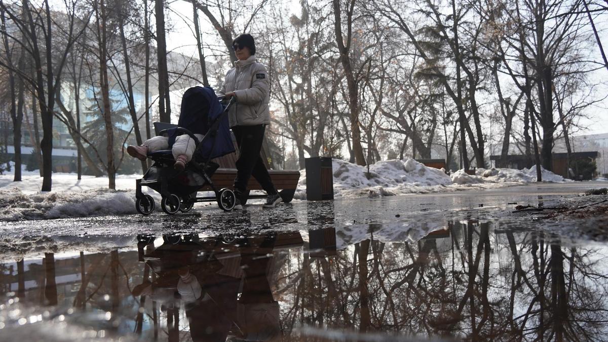 Женщина с коляской