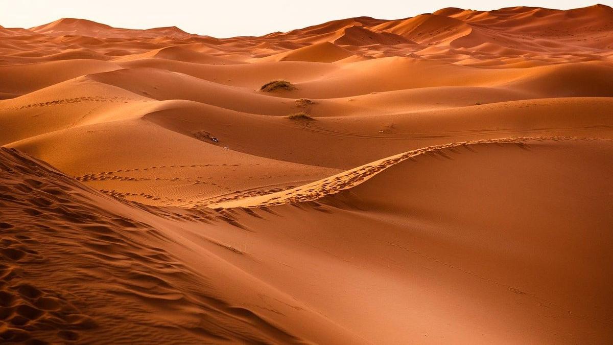Фотообои пустыня в интерьере