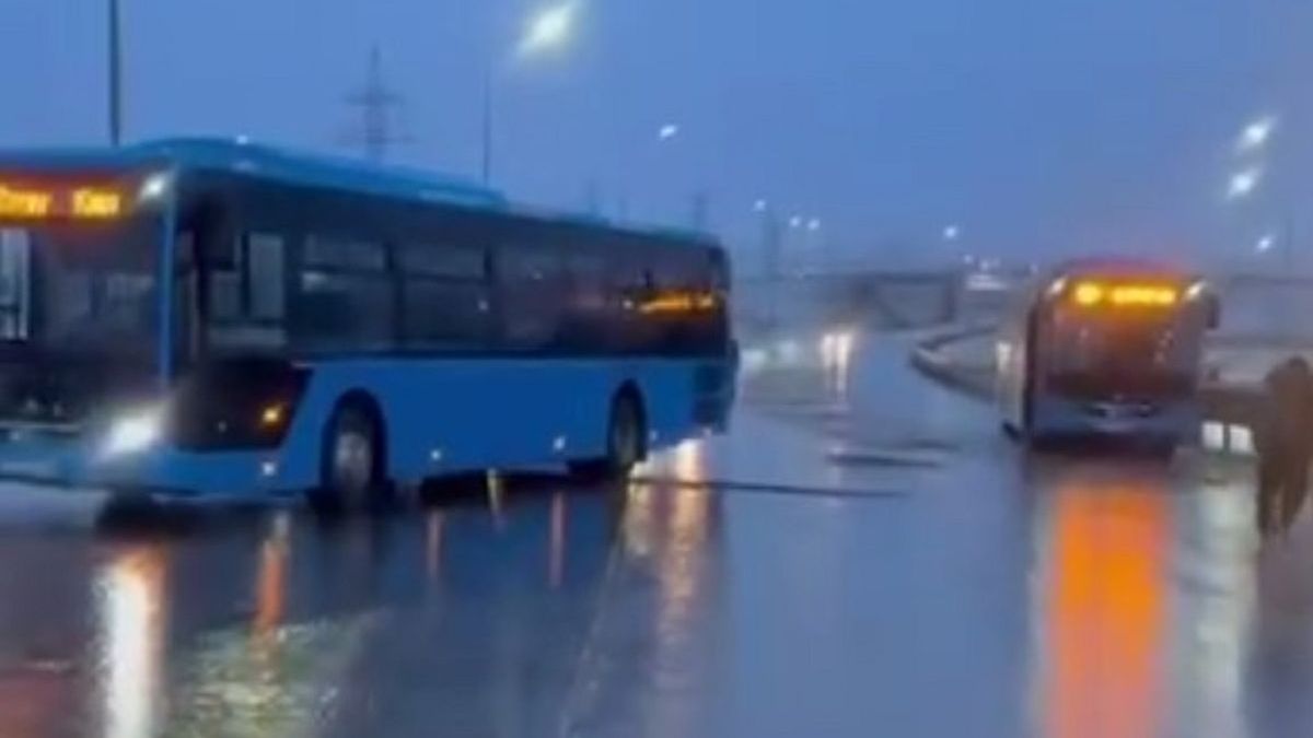 Автобусы на трассе