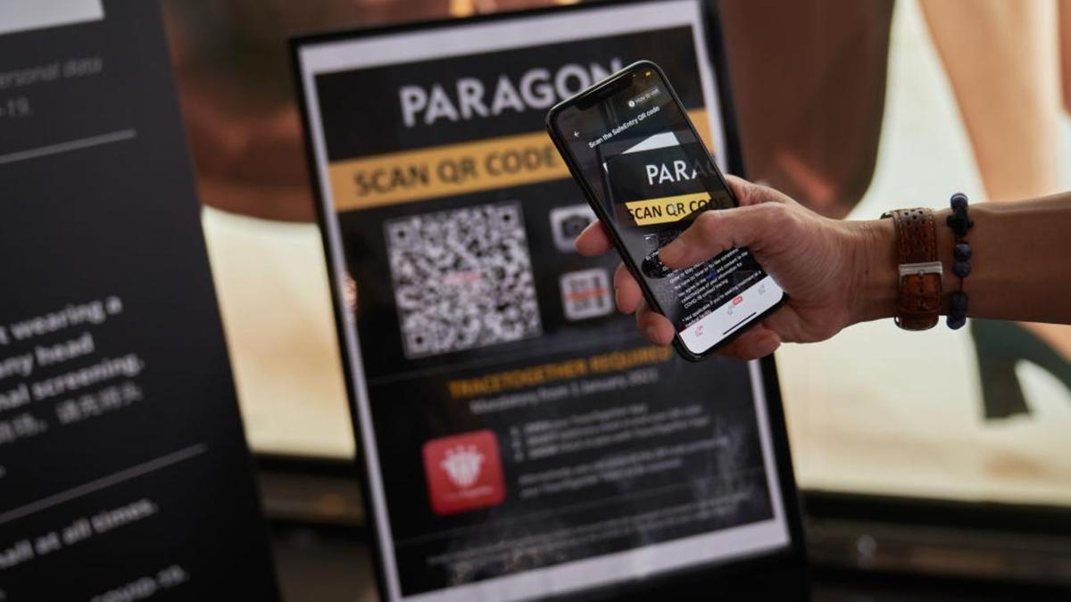 Женщина сканирует QR-код