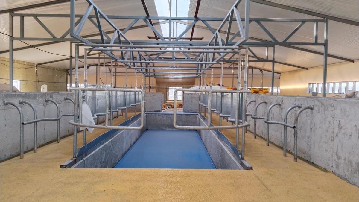 Молочная ферма