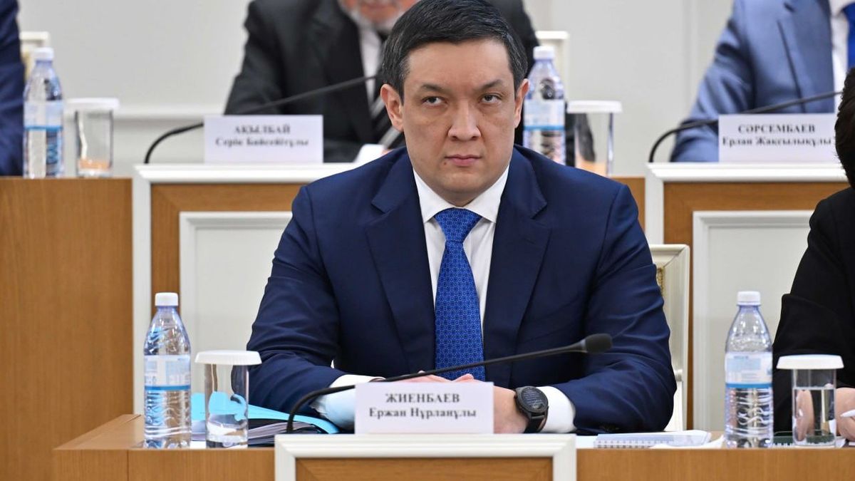 Ерлан Жиенбаев комиссия отырысында